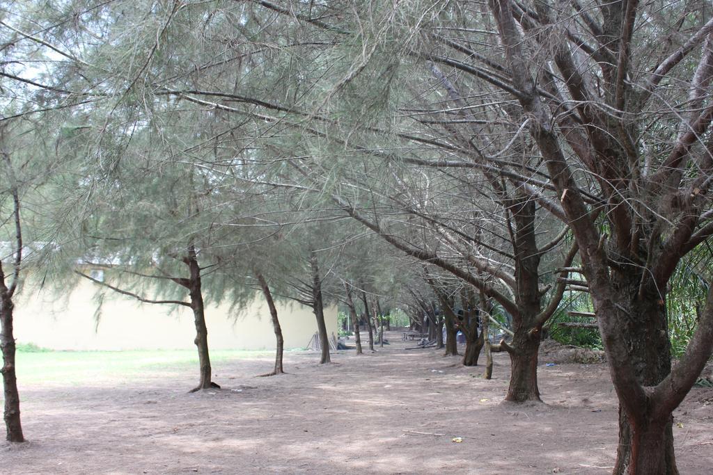 Siba Island Resort Medan Buitenkant foto